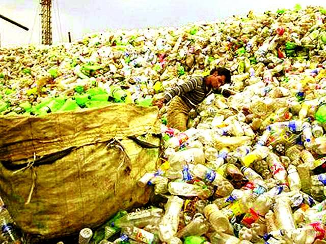 پاکستان میں پلاسٹک کھانے والی فنگس دریافت