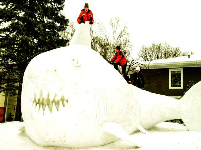 ویلز: دوآدمی 16فٹ لمی برف سے بنائی گئی شارک مچھلی کی نمائش کر رہے ہیں