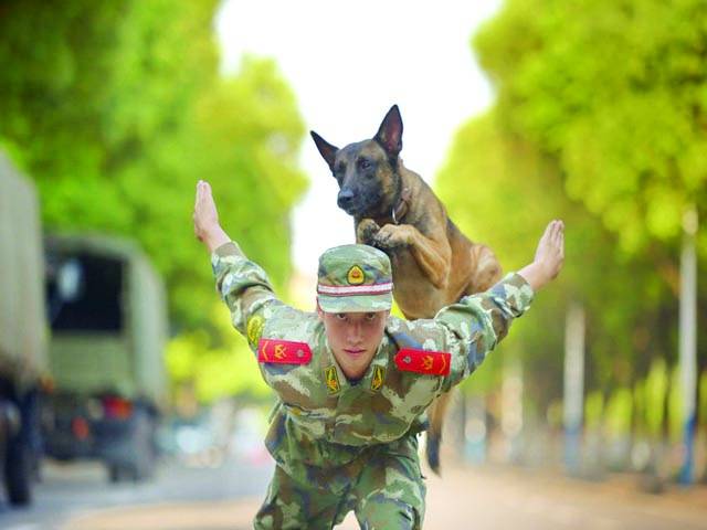 شنگھائی: ایک فوجی ماہر کتے کے ہمراہ مشق کر رہا ہے