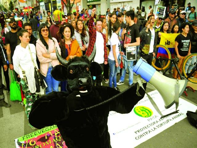 بگوٹا: کولمبیا میں مظاہرین بل فائیٹنگ کے خلاف احتجاج میں شریک ہیں۔